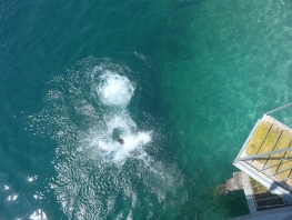 2019_Tessin 1 057.jpg